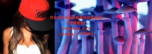 spice Карпинск